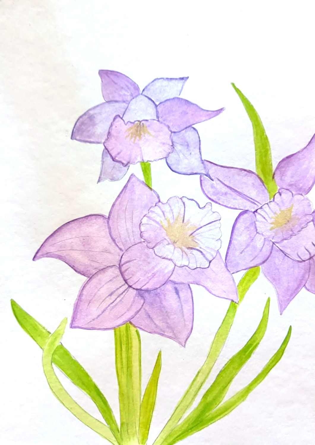 Aquarelle de trois narcisses peints en lilas et violet pâle, cœurs dorés, longues feuilles vert tendre